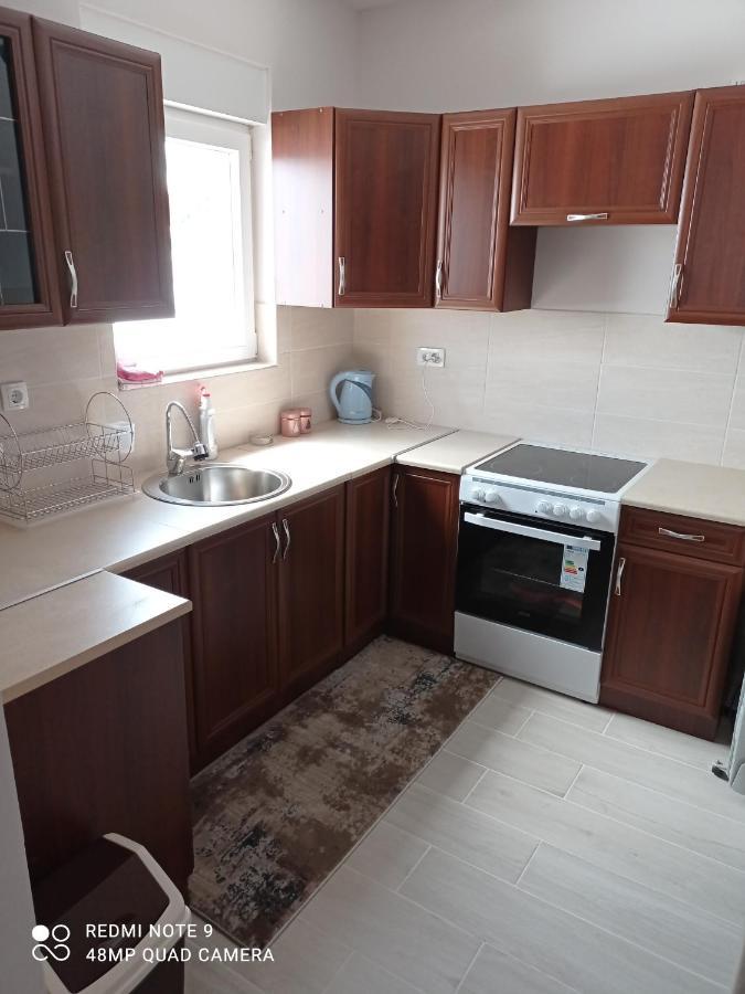 Apartman Svetlana 2 Жабляк Экстерьер фото